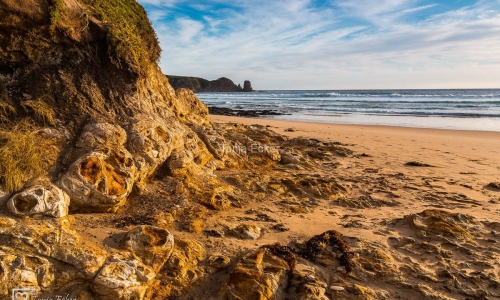 PhillipIsland-26.1.2019-80