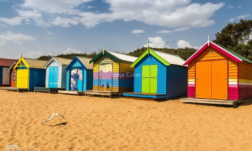 StKilda_Beachhouses-25.1.2019-9