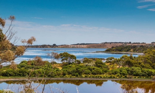 TowerHillNP-30.1.2019-1
