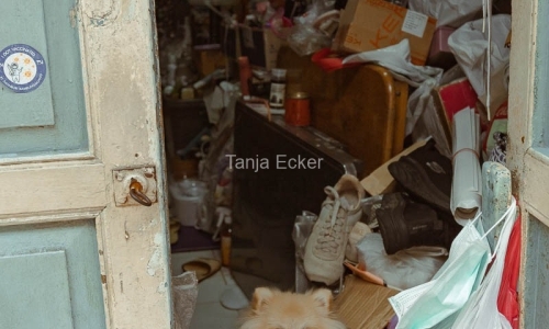 Thailand-20-11-13-12-2022-622