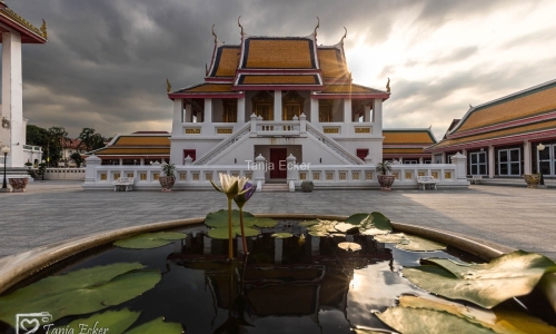 Thailand-20-11-13-12-2022-677