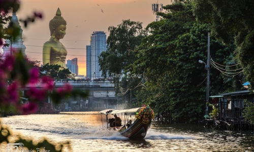 Thailand-20-11-13-12-2022-709