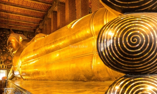 Thailand-20-11-13-12-2022-730