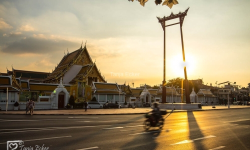 Thailand-20-11-13-12-2022-738