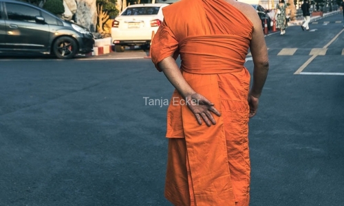 Thailand-20-11-13-12-2022-743