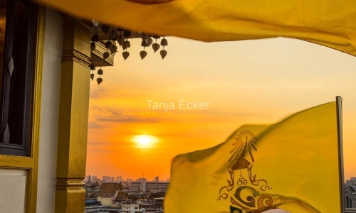 Thailand-20-11-13-12-2022-760