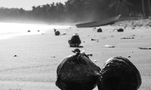 CostaRica-Marz2019-166