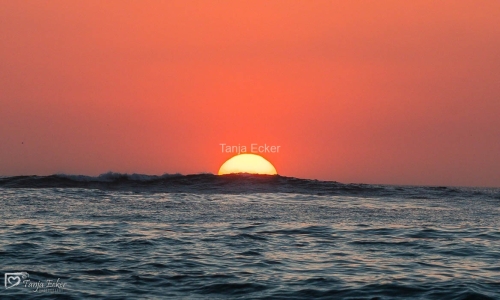 CostaRica-Marz2019-44