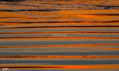 CostaRica-Marz2019-65