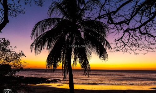 CostaRica-Marz2019-74