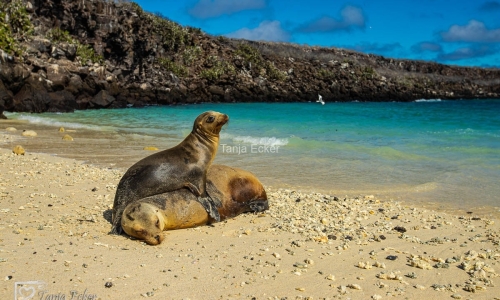 GalapagosIslands