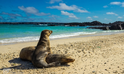 GalapagosIslands