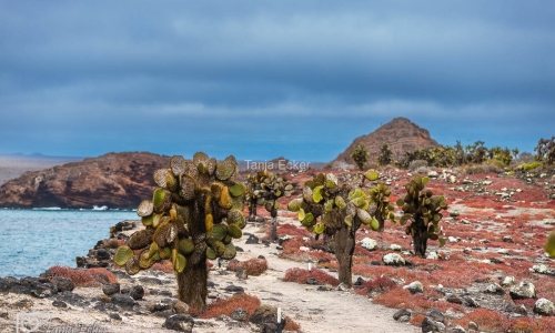 GalapagosIslands