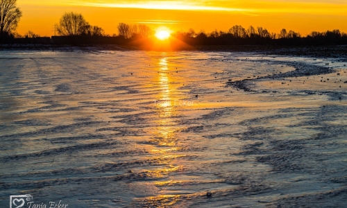 Eis-Neuss-14-02-2021-17