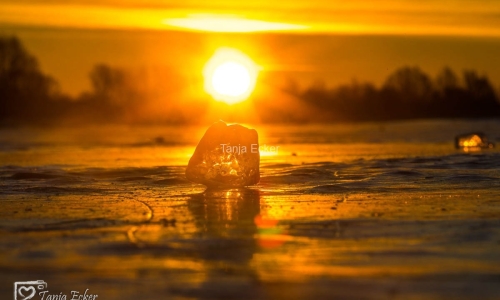 Eis-Neuss-14-02-2021-19