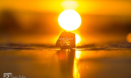 Eis-Neuss-14-02-2021-20