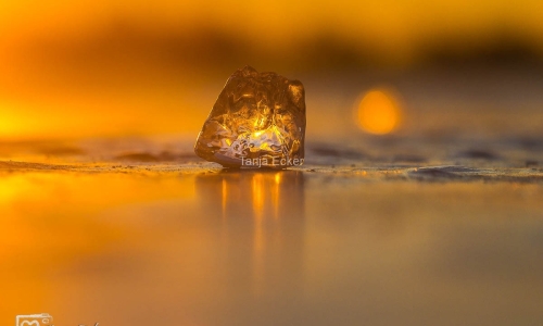 Eis-Neuss-14-02-2021-22