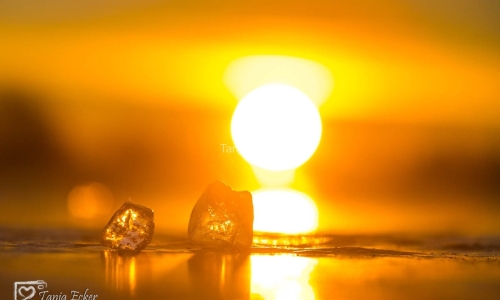 Eis-Neuss-14-02-2021-25