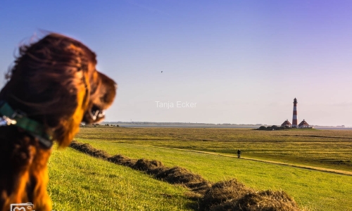 Westerhever Leuchtturm