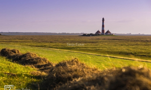 Westerhever Leuchtturm