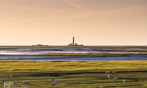WesterheverLeuchturm-31.8.2020-17