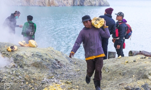 Indonesien_01-19-11-2022-103