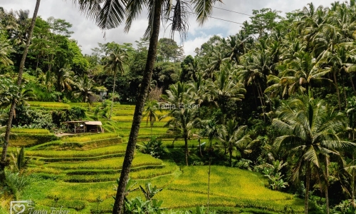 Indonesien_01-19-11-2022-151