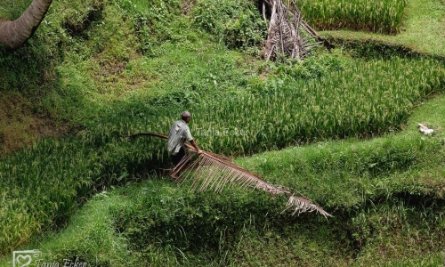 Indonesien_01-19-11-2022-160