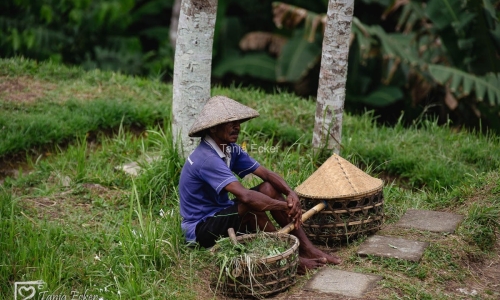 Indonesien_01-19-11-2022-172