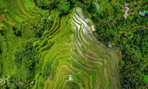 Indonesien_01-19-11-2022-177-22