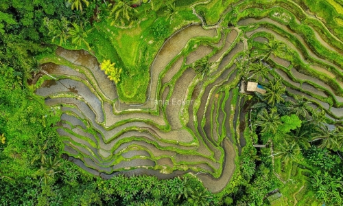 Indonesien_01-19-11-2022-177-24