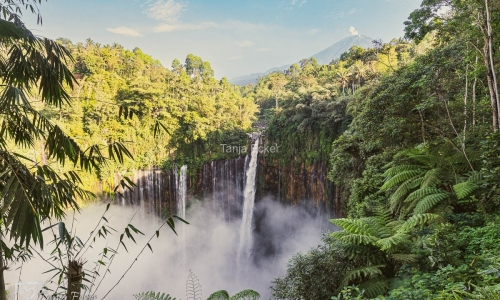 Indonesien_01-19-11-2022-18