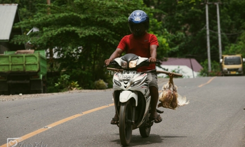 Indonesien_01-19-11-2022-560