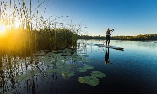 LitventureSUP_Shooting_HollandJanneke-©TanjaEcker-06.09.2023-50