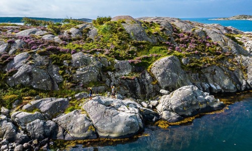 LitventureSUP_Shooting_Schweden-©TanjaEcker-14.08.2023_Drohne-16