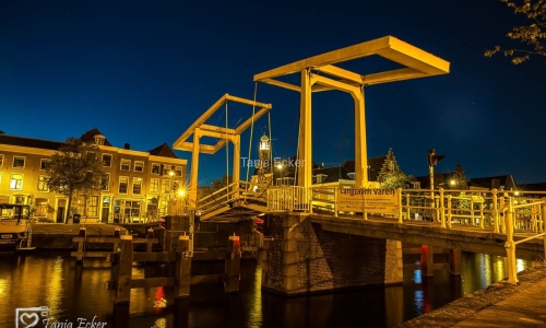 Niederlande-Juli-Aug2020-103-Kopie