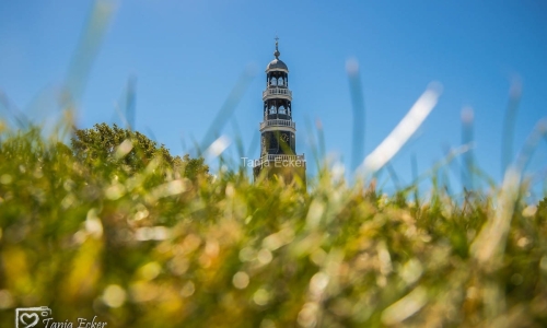 Niederlande-Juli-Aug2020-140