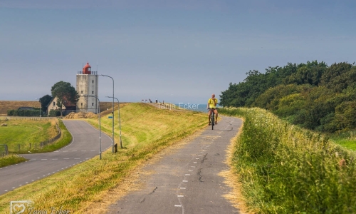 Niederlande-Juli-Aug2020-177