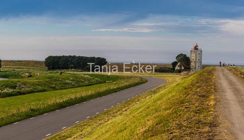 Niederlande-Juli-Aug2020-181