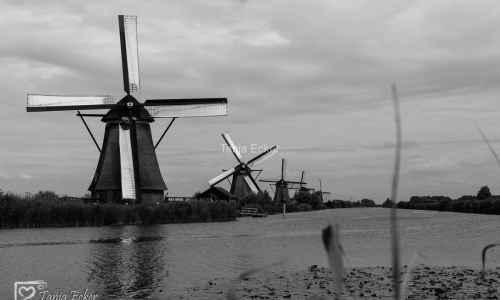 Niederlande-Juli-Aug2020-30