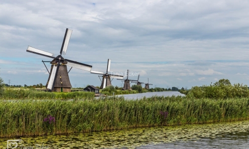 Niederlande-Juli-Aug2020-35