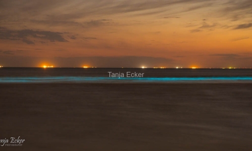 Niederlande-Juli-Aug2020-62