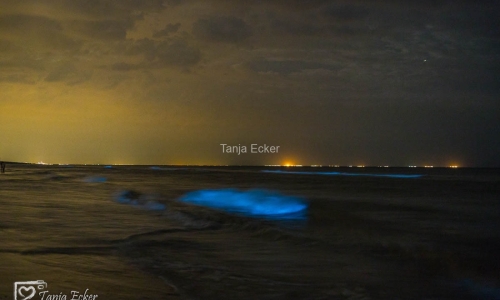 Niederlande-Juli-Aug2020-83