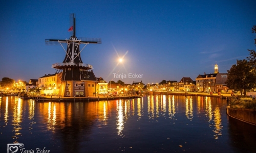 Niederlande-Juli-Aug2020-94