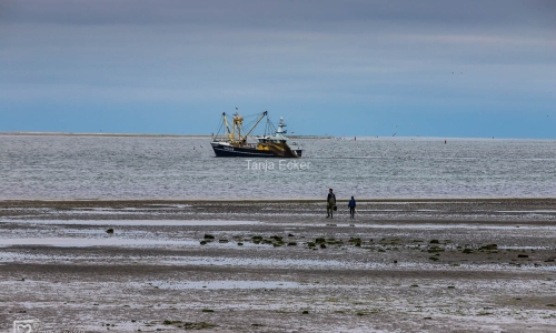 Niederlande-Juli2019-120