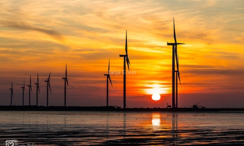 Niederlande-Juli2019-229