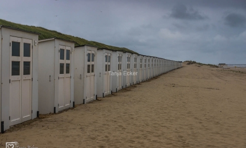 Niederlande-Juli2019-77