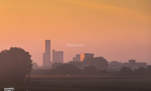 SUP11-Nonstop_2021-29