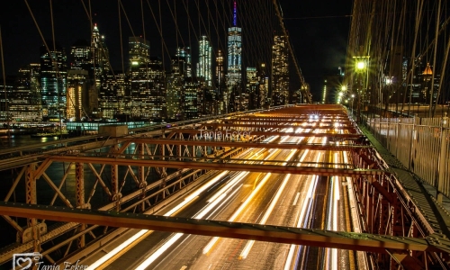 NewYork-2017-16