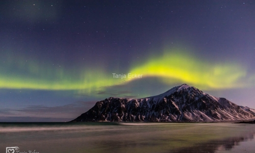 Lofoten-Vesteralen2018-103